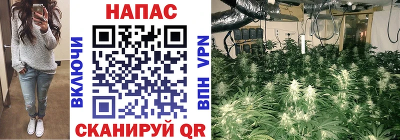 Виды наркотиков купить Тавда ГАШ СК Галлюциногенные грибы Лсд 25 Меф Кокаин