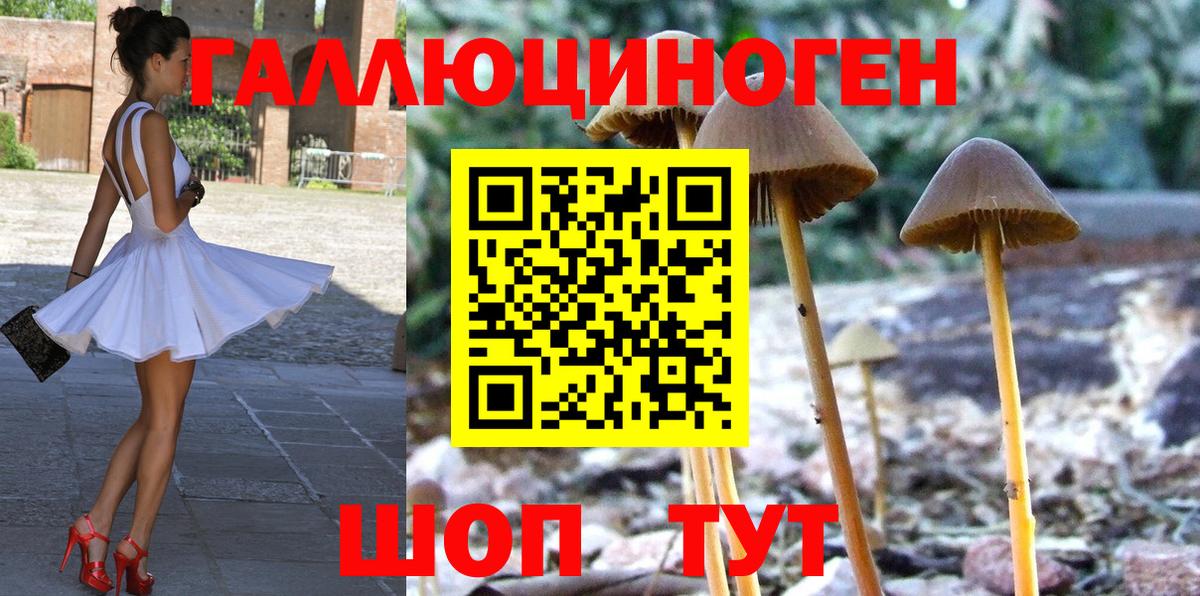 Тавда  Псилоцибиновые грибы GOLDEN TEACHER  Псилоцибиновые грибы мицелий  Вход с VPN 