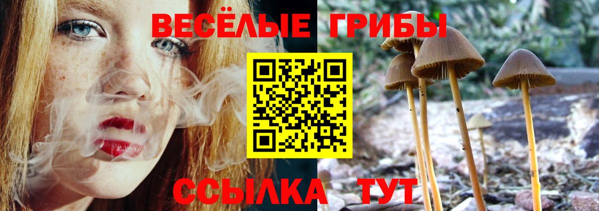 Псилоцибиновые грибы Magic Shrooms Тавда